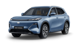 GEELY STARRAY ESTATE at Holders of Congresbury Congresbury